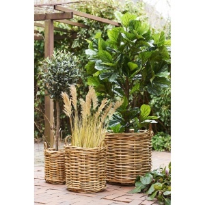 Set 3 piese Cosuri Burton, Natural, 62x62x53 cm - Img 2