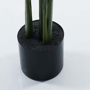 Διακοσμητικό φυτό με γλάστρα Calathea Πράσινο 68x68x120 cm - Img 3