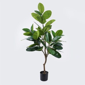 Διακοσμητικό φυτό Ficus Lyrata Πράσινο 70x70x130 cm