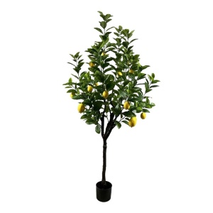 Διακοσμητικό φυτό Lemon tree Πράσινο 180x180x180 cm