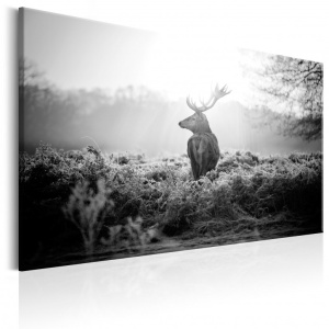 Πίνακας - Black and White Deer 90x60 cm