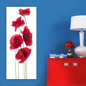 Πίνακας DKY128322 Πολύχρωμος 50x120 cm