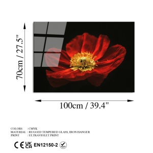 Πίνακας από σκληρυμένο γυαλί UV Πολύχρωμος 70x100 cm - Img 8