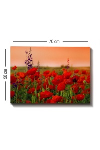 Πίνακας καμβά Πολύχρωμος 50x70x3 cm - Img 3