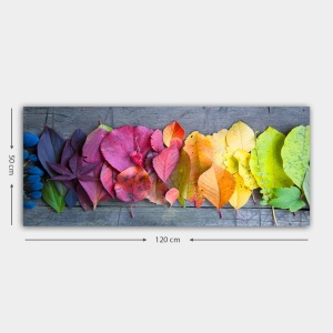 Πίνακας Bella Mira Πολύχρωμο 50x120 cm - Img 3