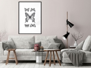 Πόστερ - Butterfly Collection IV, με μαύρη κορνίζα, 30x45 cm - Img 2
