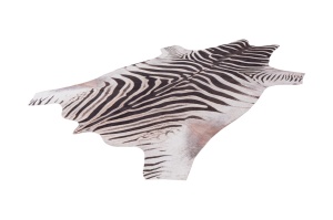 Χαλί forma animal My Toledo Zebra 155x190 cm - Img 8