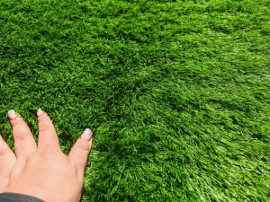 Gazon Artificial, Avent, Verde, 300x2300 cm, Delta - Img 2