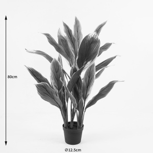 Διακοσμητικό φυτό με γλάστρα Cycas Πράσινο 55x55x80 cm - Img 4