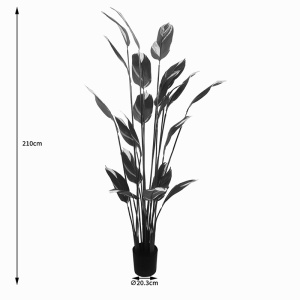 Διακοσμητικό φυτό με γλάστρα Lucky Πράσινο 80x80x210 cm - Img 3
