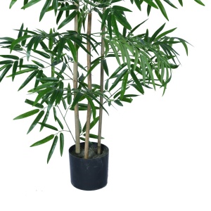 Διακοσμητικό φυτό Bamboo Pako World Μαύρο ύψος 130 cm - Img 3