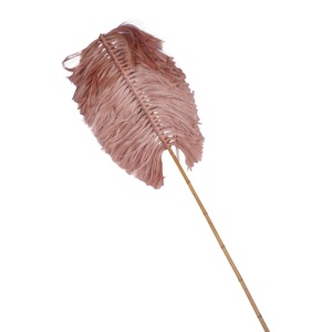 Διακοσμητικό φυτό Flerry Boho Pako World Natural 20x200x8 cm