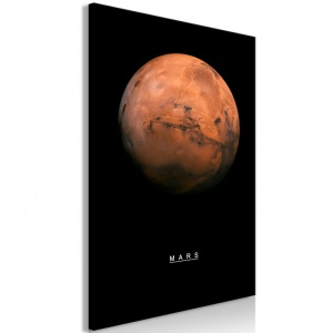 Πίνακας - Mars (1 Part) Vertical 60x90 cm