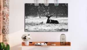 Πίνακας - Lying Deer 90x60 cm - Img 2