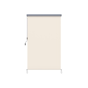 Πλευρική τέντα Songmics Μπεζ 140x250 cm - Img 2