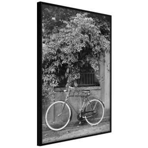 Πόστερ - Bicycle with White Tires, με μαύρη κορνίζα, 30x45 cm