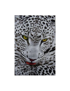 Χαλί Kolibri Leopard, 160x230 cm