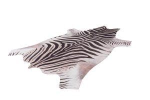 Χαλί forma animal My Toledo Zebra 155x190 cm - Img 5