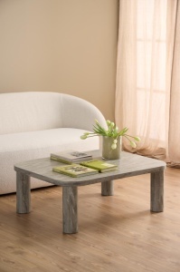 Masuta de cafea Solano, Gri, 36x100x75 cm