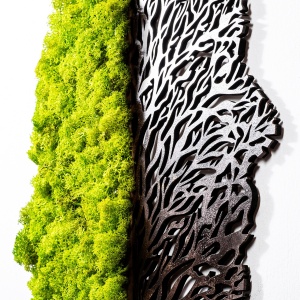 Διακοσμητικό Τοίχου Green, Πράσινο, 45x1x56 cm - Img 3