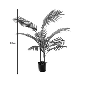Διακοσμητικό φυτό κήπου Areca Pako World Μαύρο 80x80x80 cm - Img 4