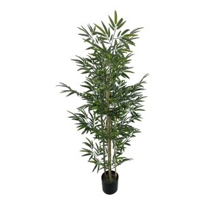 Διακοσμητικό φυτό Bamboo Πράσινο 150 cm