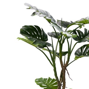 Διακοσμητικό φυτό Monstera III Pako World Μαύρο ύψος 180 cm - Img 2