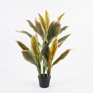 Διακοσμητικό φυτό με γλάστρα Cycas Πράσινο 55x55x80 cm