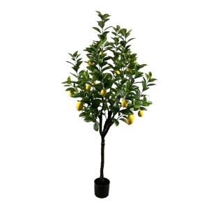 Διακοσμητικό φυτό Lemon tree Πράσινο 180x180x180 cm