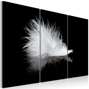 Πίνακας - A small feather 90x60 cm