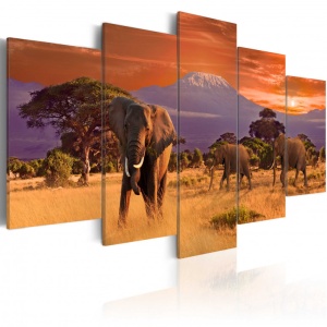 Πίνακας - Africa: Elephants 200x100 cm