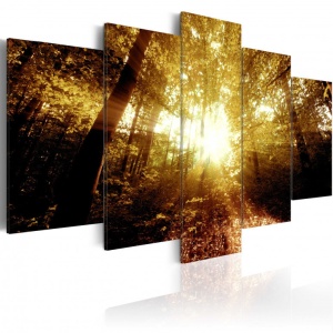 Πίνακας - Autumn Forest 100x50 cm