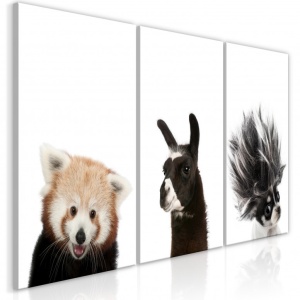 Πίνακας - Friendly Animals (Collection) 60x30 cm