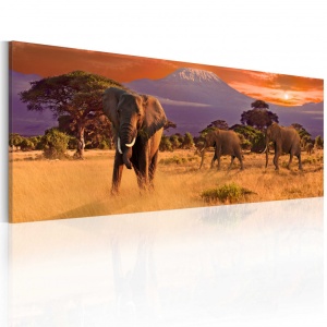 Πίνακας - March of african elephants 120x40 cm
