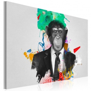 Πίνακας - Mr Monkey 60x40 cm