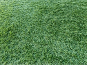 Gazon Artificial, Despi, Verde, 400x1200 cm, Delta - Img 4