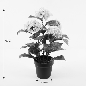 Διακοσμητικό φυτό με γλάστρα Hydrangea Πράσινο 35x35x50 cm - Img 4