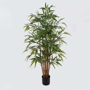 Διακοσμητικό φυτό με γλάστρα Rhapis Palm Πράσινο 80x80x180 cm