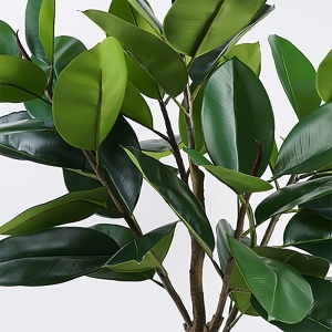 Διακοσμητικό φυτό Ficus Lyrata Πράσινο 70x70x130 cm - Img 2