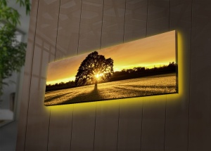 Πίνακας με LED 3090DACT Πολύχρωμο 30x90x3 cm