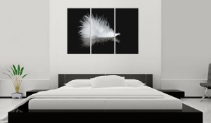 Πίνακας - A small feather 60x40 cm - Img 2
