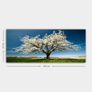 Πίνακας YTY1233464 Πολύχρωμος 50x120 cm - Img 3