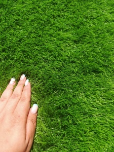Gazon Artificial, Meil, Verde, 200x1200 cm, Delta - Img 3