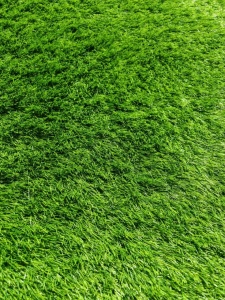 Gazon Artificial, Sri Lanka, Verde, 400x1900 cm, Delta Sri Lanka 30 mm