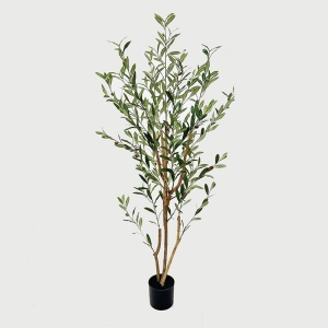 Διακοσμητικό φυτό με γλάστρα Olia Πράσινο 65x55x180 cm