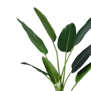 Διακοσμητικό φυτό Palm tree Pako World Μαύρο ύψος 120 cm - Img 2