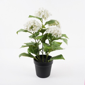 Διακοσμητικό φυτό με γλάστρα Hydrangea Πράσινο 35x35x50 cm