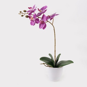Διακοσμητικό φυτό με γλάστρα Orchid Μωβ 30x13x46 cm