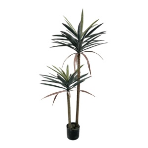 Διακοσμητικό φυτό Dracaena Πράσινο 125 cm