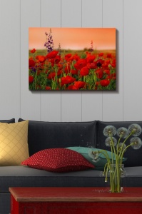 Πίνακας καμβά Πολύχρωμος 50x70x3 cm